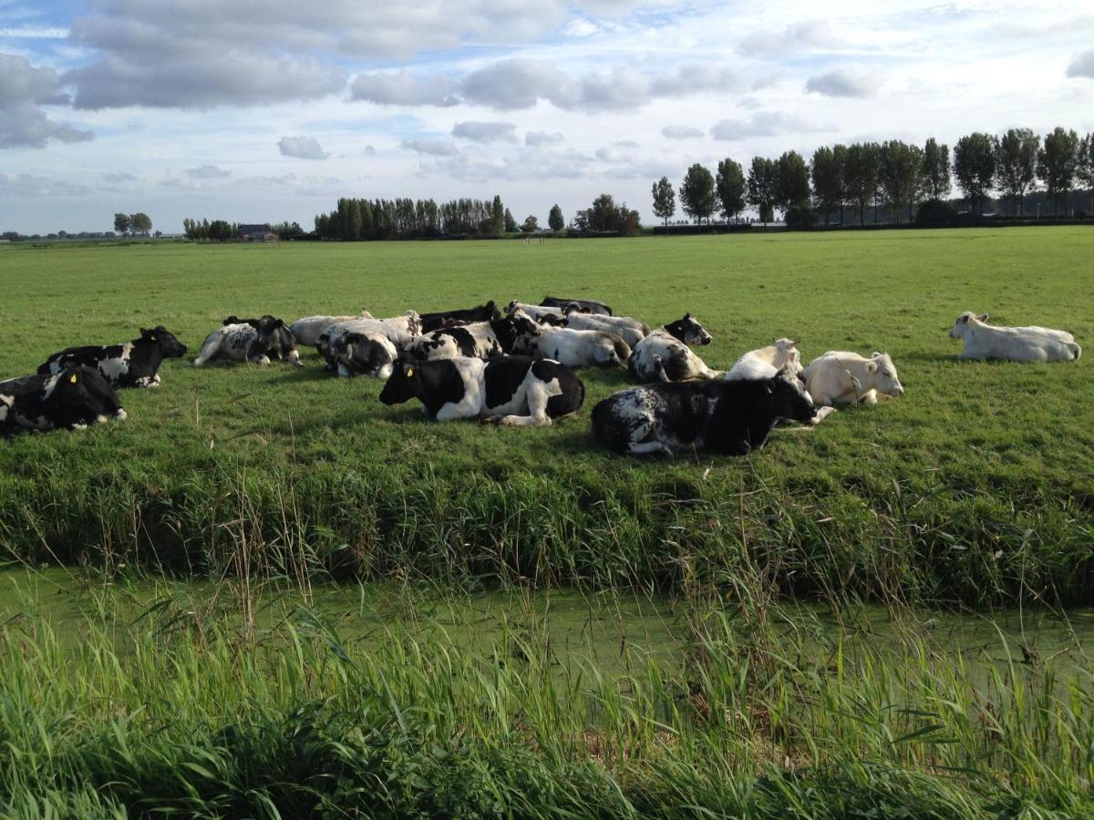 Benb Voorneputten Simonshaven Luaran gambar